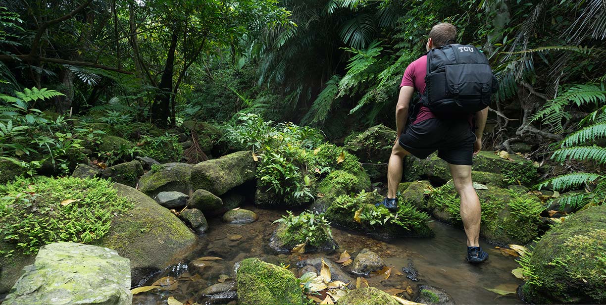 Tropical Research in Costa Rica